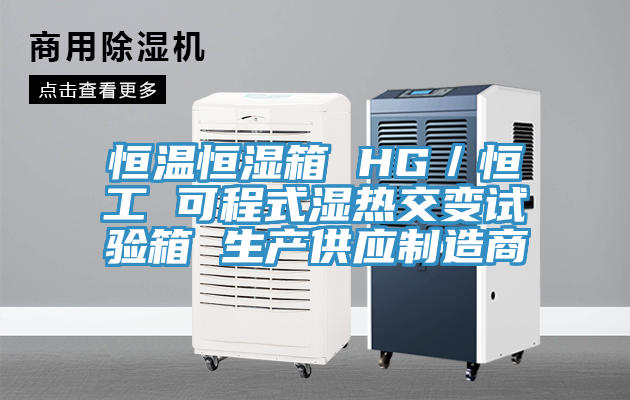 恒溫恒濕箱 HG／恒工 可程式濕熱交變試驗(yàn)箱 生產(chǎn)供應(yīng)制造商