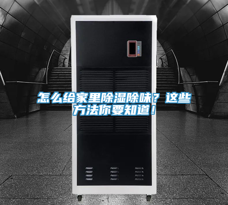 怎么給家里除濕除味？這些方法你要知道！