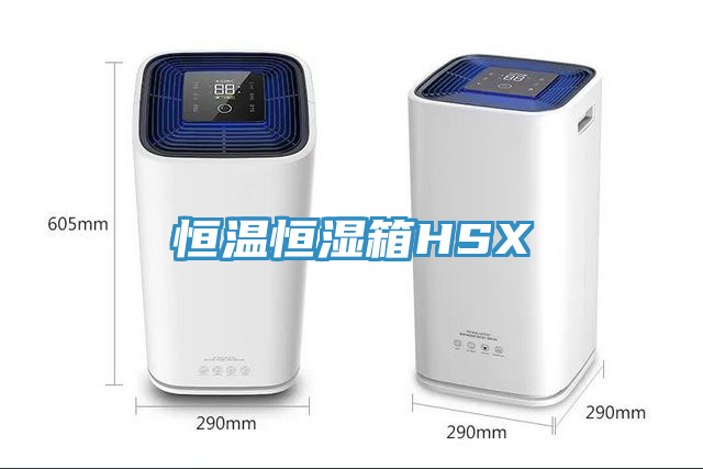 恒溫恒濕箱HSX