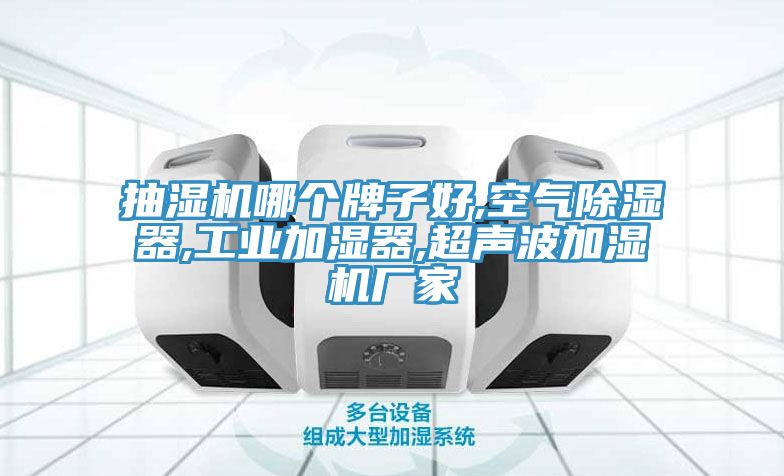 抽濕機(jī)哪個牌子好,空氣除濕器,工業(yè)加濕器,超聲波加濕機(jī)廠家