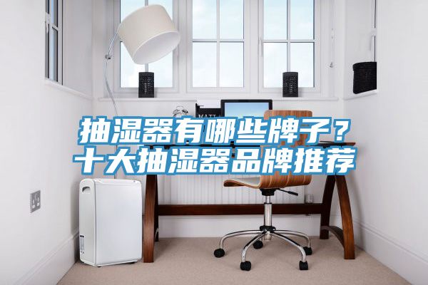 抽濕器有哪些牌子？十大抽濕器品牌推薦