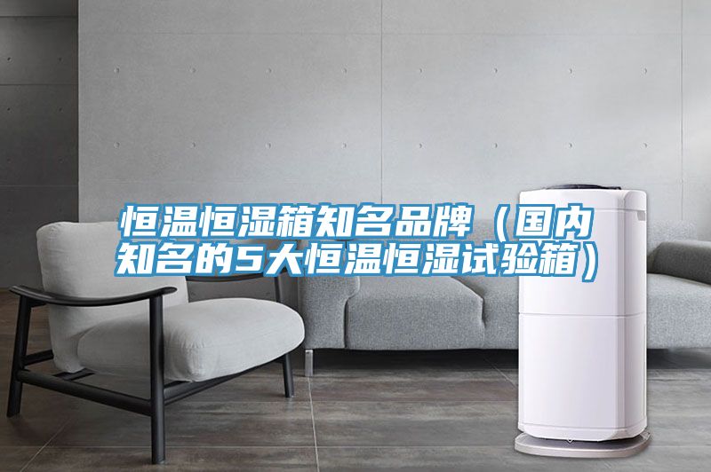 恒溫恒濕箱知名品牌（國內(nèi)知名的5大恒溫恒濕試驗箱）