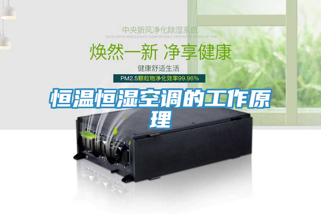 恒溫恒濕空調(diào)的工作原理