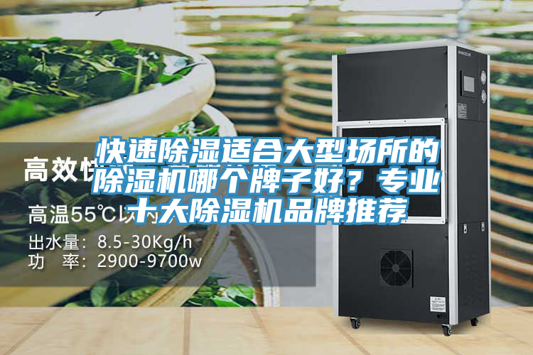 快速除濕適合大型場所的除濕機(jī)哪個(gè)牌子好？專業(yè)十大除濕機(jī)品牌推薦