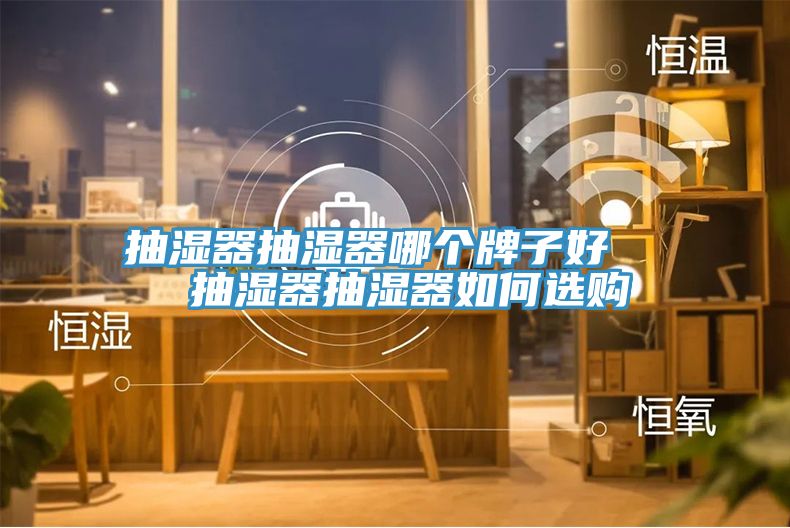 抽濕器抽濕器哪個牌子好   抽濕器抽濕器如何選購