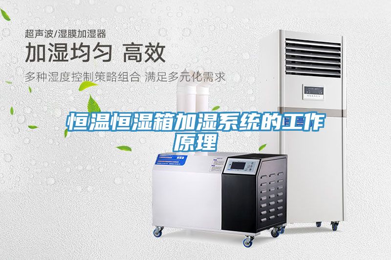 恒溫恒濕箱加濕系統(tǒng)的工作原理