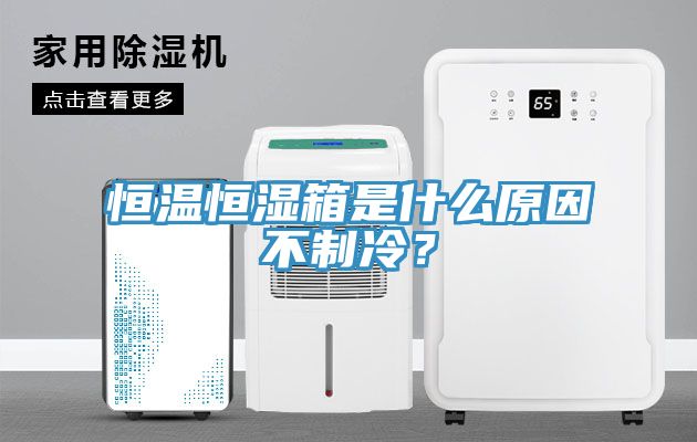 恒溫恒濕箱是什么原因不制冷？