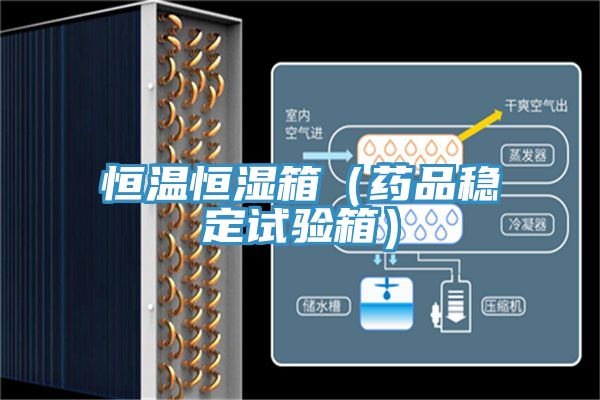 恒溫恒濕箱（藥品穩(wěn)定試驗(yàn)箱）