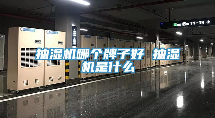 抽濕機(jī)哪個牌子好 抽濕機(jī)是什么
