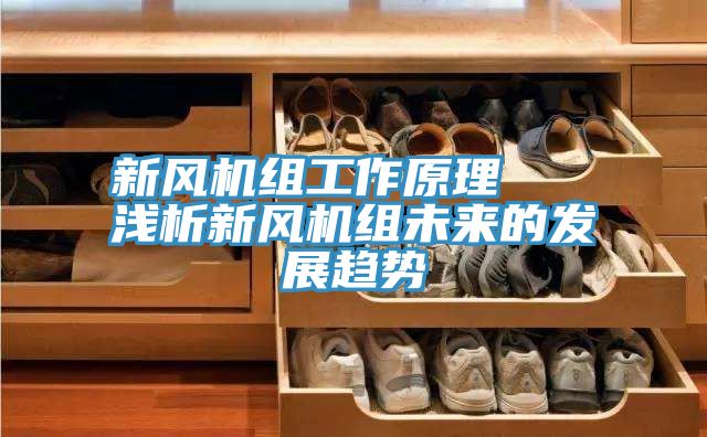 新風(fēng)機(jī)組工作原理   淺析新風(fēng)機(jī)組未來的發(fā)展趨勢