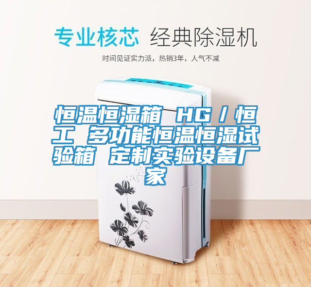 恒溫恒濕箱 HG／恒工 多功能恒溫恒濕試驗(yàn)箱 定制實(shí)驗(yàn)設(shè)備廠家
