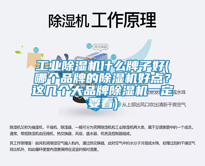 工業(yè)除濕機(jī)什么牌子好(哪個(gè)品牌的除濕機(jī)好點(diǎn)？這幾個(gè)大品牌除濕機(jī)一定要看)