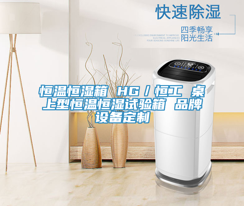 恒溫恒濕箱 HG／恒工 桌上型恒溫恒濕試驗箱 品牌設(shè)備定制