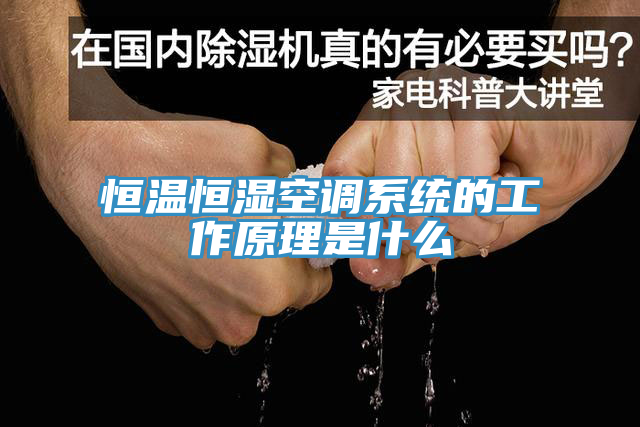 恒溫恒濕空調(diào)系統(tǒng)的工作原理是什么
