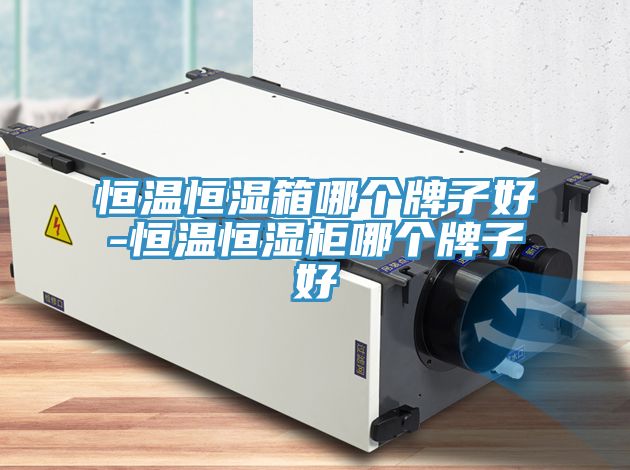 恒溫恒濕箱哪個(gè)牌子好-恒溫恒濕柜哪個(gè)牌子好