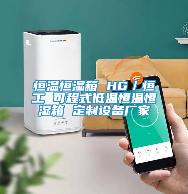 恒溫恒濕箱 HG／恒工 可程式低溫恒溫恒濕箱 定制設(shè)備廠家