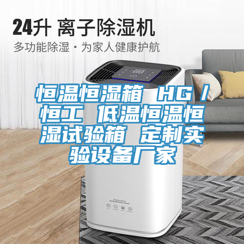 恒溫恒濕箱 HG／恒工 低溫恒溫恒濕試驗(yàn)箱 定制實(shí)驗(yàn)設(shè)備廠家