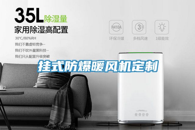 掛式防爆暖風(fēng)機(jī)定制