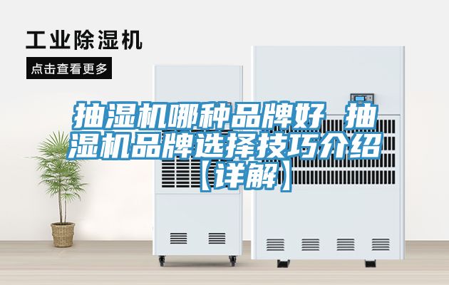 抽濕機(jī)哪種品牌好 抽濕機(jī)品牌選擇技巧介紹【詳解】