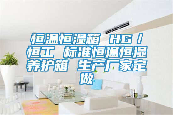 恒溫恒濕箱 HG／恒工 標準恒溫恒濕養(yǎng)護箱 生產(chǎn)廠家定做