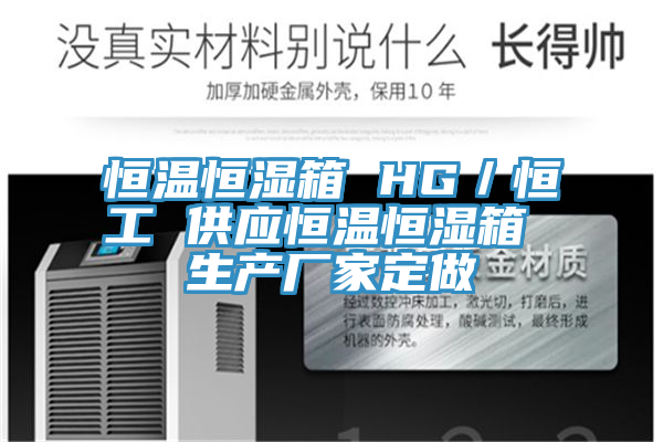 恒溫恒濕箱 HG／恒工 供應(yīng)恒溫恒濕箱 生產(chǎn)廠家定做