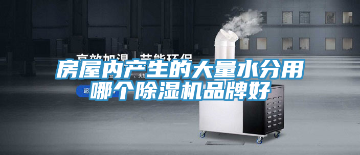 房屋內(nèi)產(chǎn)生的大量水分用哪個(gè)除濕機(jī)品牌好