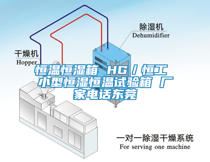 恒溫恒濕箱 HG／恒工 小型恒濕恒溫試驗(yàn)箱 廠家電話東莞