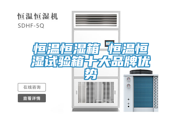 恒溫恒濕箱 恒溫恒濕試驗箱十大品牌優(yōu)勢