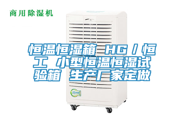 恒溫恒濕箱 HG／恒工 小型恒溫恒濕試驗(yàn)箱 生產(chǎn)廠家定做