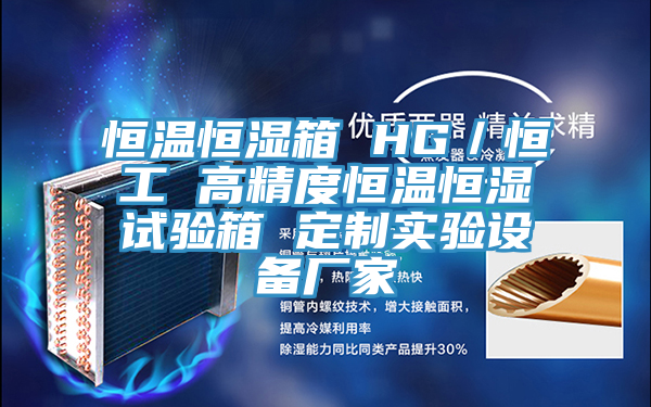恒溫恒濕箱 HG／恒工 高精度恒溫恒濕試驗箱 定制實驗設(shè)備廠家