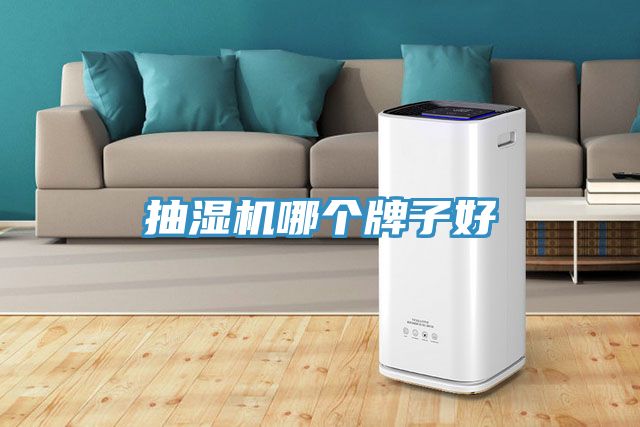 抽濕機(jī)哪個牌子好