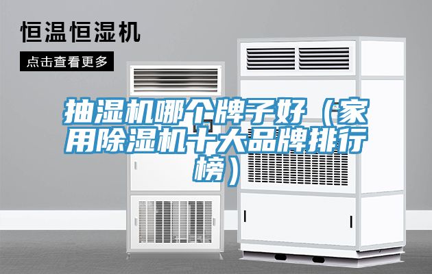 抽濕機(jī)哪個牌子好（家用除濕機(jī)十大品牌排行榜）