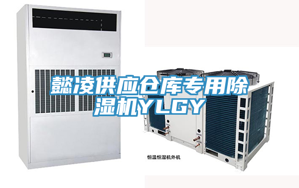 懿凌供應(yīng)倉(cāng)庫(kù)專(zhuān)用除濕機(jī)YLGY