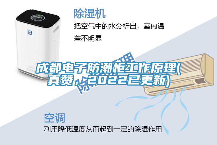 成都電子防潮柜工作原理(真贊，2022已更新)
