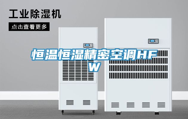 恒溫恒濕精密空調(diào)HFW