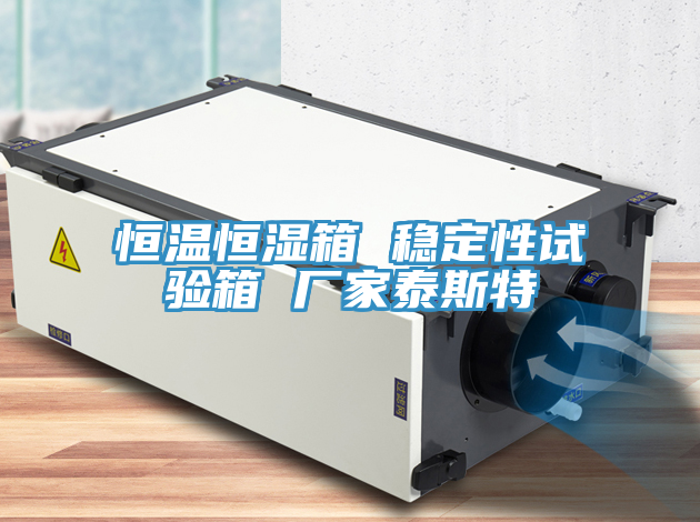 恒溫恒濕箱 穩(wěn)定性試驗箱 廠家泰斯特