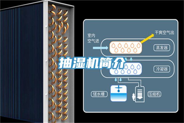 抽濕機(jī)簡介