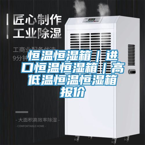 恒溫恒濕箱｜進(jìn)口恒溫恒濕箱｜高低溫恒溫恒濕箱報(bào)價(jià)