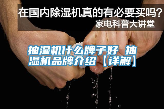 抽濕機(jī)什么牌子好 抽濕機(jī)品牌介紹【詳解】