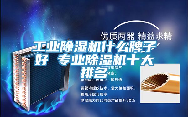 工業(yè)除濕機什么牌子好 專業(yè)除濕機十大排名