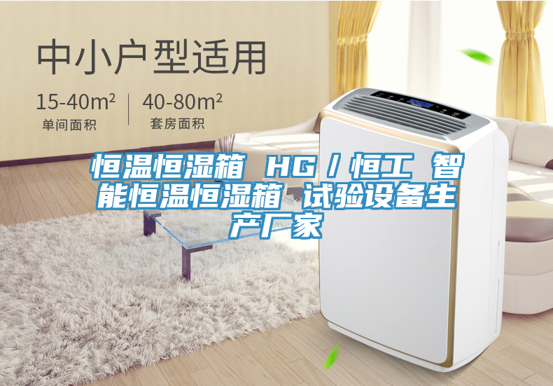 恒溫恒濕箱 HG／恒工 智能恒溫恒濕箱 試驗設(shè)備生產(chǎn)廠家