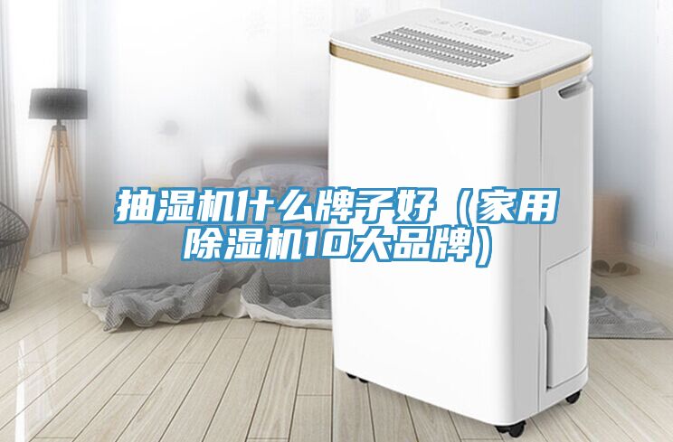 抽濕機(jī)什么牌子好（家用除濕機(jī)10大品牌）