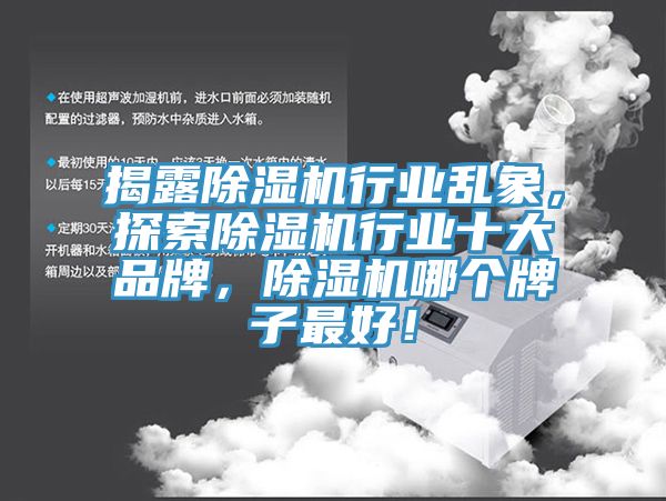 揭露除濕機(jī)行業(yè)亂象，探索除濕機(jī)行業(yè)十大品牌，除濕機(jī)哪個(gè)牌子最好！