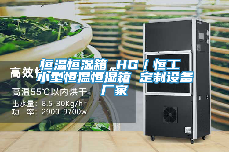 恒溫恒濕箱 HG／恒工 小型恒溫恒濕箱 定制設(shè)備廠家