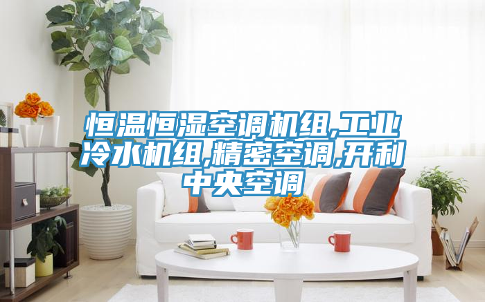恒溫恒濕空調(diào)機(jī)組,工業(yè)冷水機(jī)組,精密空調(diào),開利中央空調(diào)