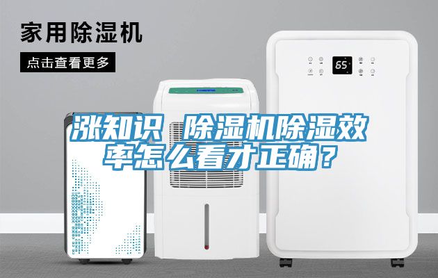 漲知識 除濕機除濕效率怎么看才正確？
