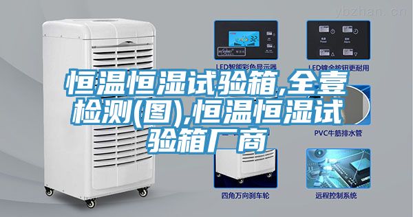 恒溫恒濕試驗(yàn)箱,全壹檢測(圖),恒溫恒濕試驗(yàn)箱廠商
