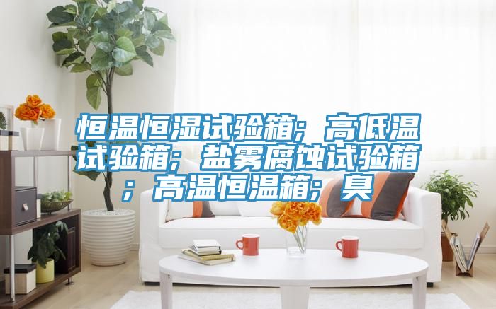 恒溫恒濕試驗(yàn)箱; 高低溫試驗(yàn)箱; 鹽霧腐蝕試驗(yàn)箱; 高溫恒溫箱; 臭