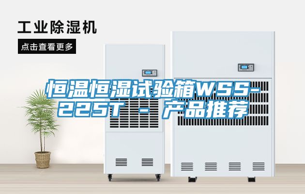 恒溫恒濕試驗(yàn)箱WSS-225T - 產(chǎn)品推薦