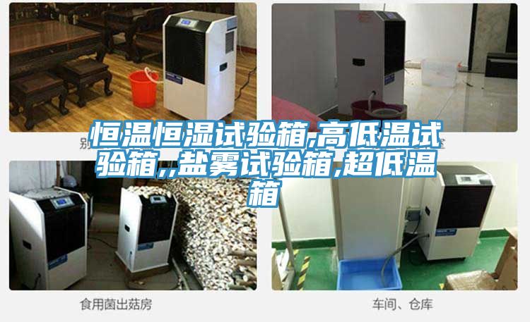 恒溫恒濕試驗(yàn)箱,高低溫試驗(yàn)箱,,鹽霧試驗(yàn)箱,超低溫箱